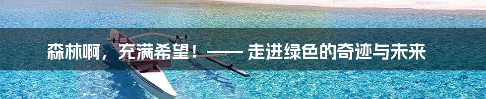 森林啊，充满希望！—— 走进绿色的奇迹与未来