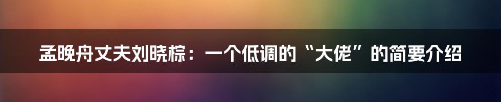 孟晚舟丈夫刘晓棕:一个低调的“大佬”的简要介绍