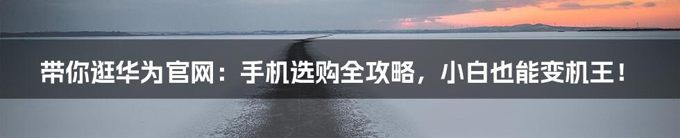 带你逛华为官网：手机选购全攻略，小白也能变机王！