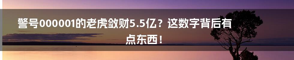 警号000001的老虎敛财5.5亿？这数字背后有点东西！