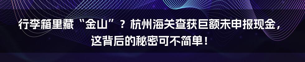 行李箱里藏“金山”？杭州海关查获巨额未申报现金，这背后的秘密可不简单！