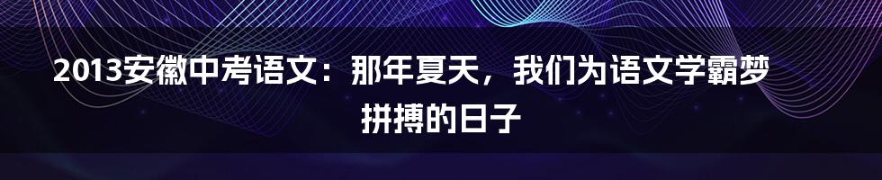 2013安徽中考语文:那年夏天,我们为语文学霸梦拼搏的日子