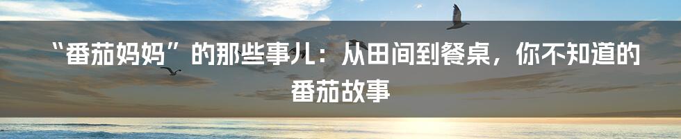 “番茄妈妈”的那些事儿:从田间到餐桌,你不知道的番茄故事