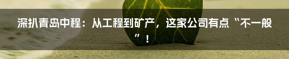 深扒青岛中程:从工程到矿产,这家公司有点“不一般”!