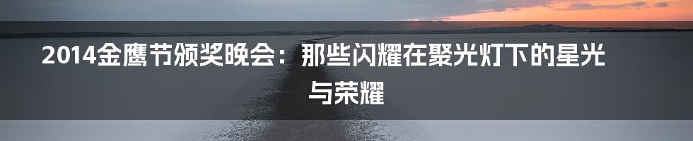 2014金鹰节颁奖晚会：那些闪耀在聚光灯下的星光与荣耀