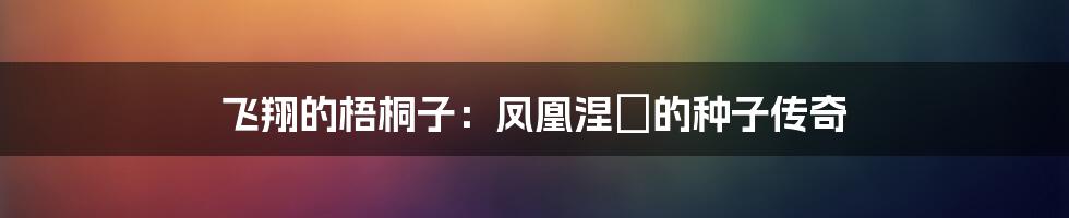 飞翔的梧桐子:凤凰涅槃的种子传奇