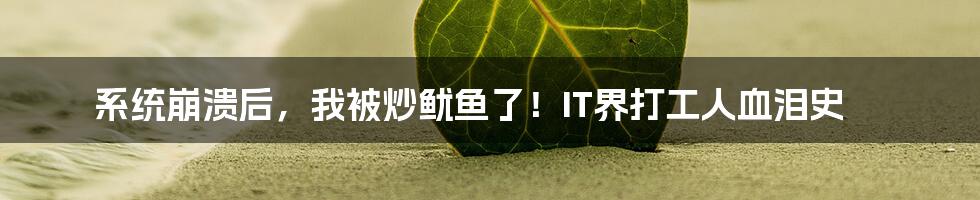 系统崩溃后,我被炒鱿鱼了!IT界打工人血泪史