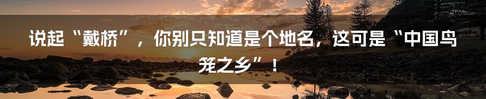 说起“戴桥”,你别只知道是个地名,这可是“中国鸟笼之乡”!