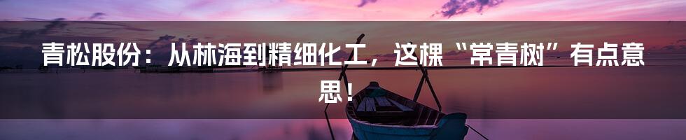 青松股份:从林海到精细化工,这棵“常青树”有点意思!