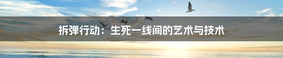 拆弹行动：生死一线间的艺术与技术