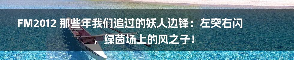 FM2012 那些年我们追过的妖人边锋:左突右闪,绿茵场上的风之子!