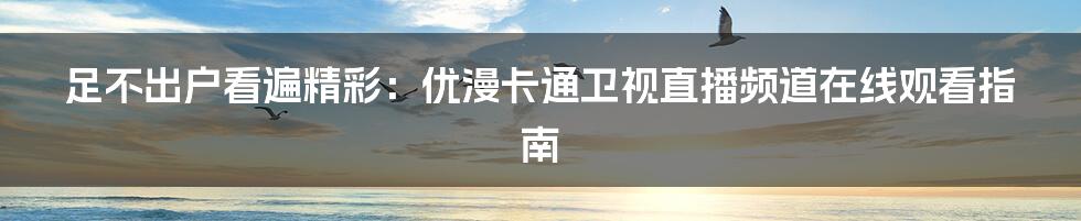 足不出户看遍精彩:优漫卡通卫视直播频道在线观看指南