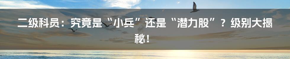 二级科员：究竟是“小兵”还是“潜力股”？级别大揭秘！