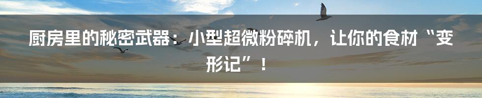 厨房里的秘密武器：小型超微粉碎机，让你的食材“变形记”！