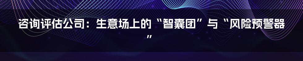 咨询评估公司：生意场上的“智囊团”与“风险预警器”