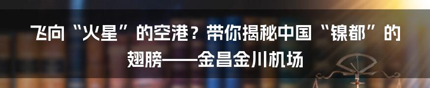 飞向“火星”的空港?带你揭秘中国“镍都”的翅膀——金昌金川机场