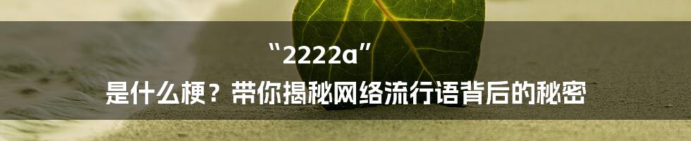 “2222a” 是什么梗?带你揭秘网络流行语背后的秘密