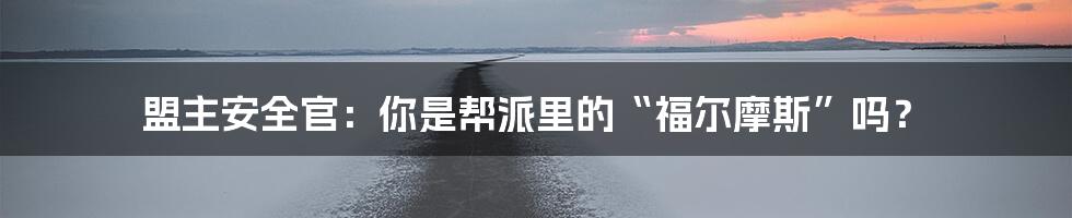 盟主安全官：你是帮派里的“福尔摩斯”吗？