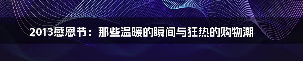 2013感恩节：那些温暖的瞬间与狂热的购物潮