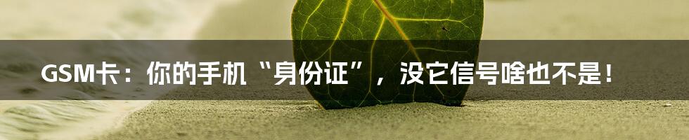 GSM卡:你的手机“身份证”,没它信号啥也不是!