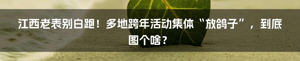 江西老表别白跑！多地跨年活动集体“放鸽子”，到底图个啥？
