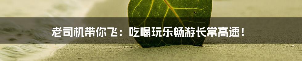 老司机带你飞：吃喝玩乐畅游长常高速！