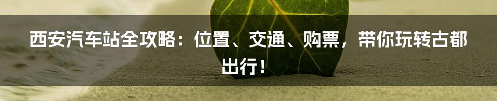 西安汽车站全攻略：位置、交通、购票，带你玩转古都出行！