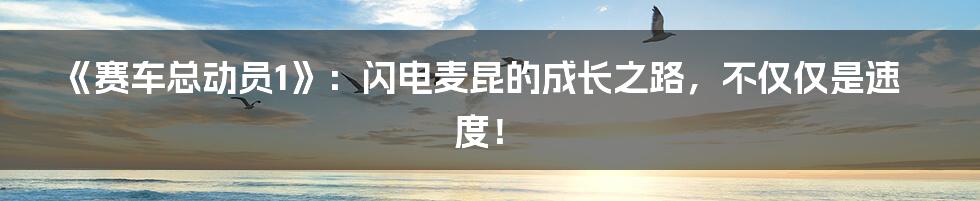 《赛车总动员1》:闪电麦昆的成长之路,不仅仅是速度!