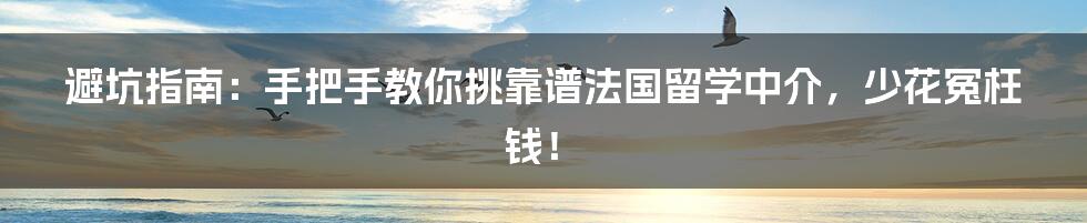 避坑指南：手把手教你挑靠谱法国留学中介，少花冤枉钱！