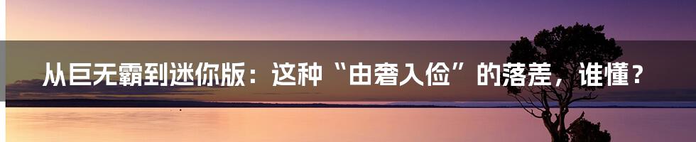 从巨无霸到迷你版：这种“由奢入俭”的落差，谁懂？