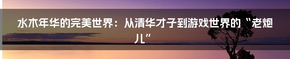 水木年华的完美世界:从清华才子到游戏世界的“老炮儿”