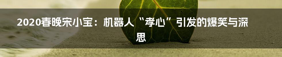 2020春晚宋小宝:机器人“孝心”引发的爆笑与深思