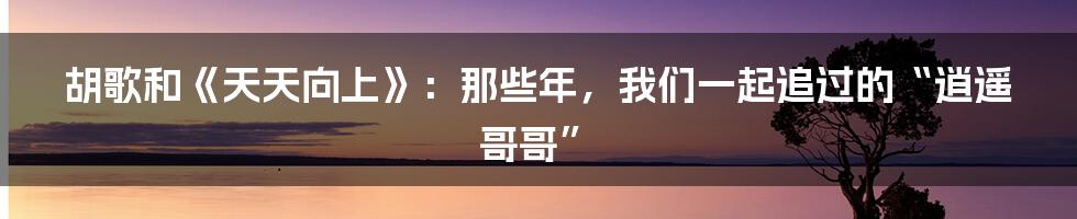 胡歌和《天天向上》：那些年，我们一起追过的“逍遥哥哥”