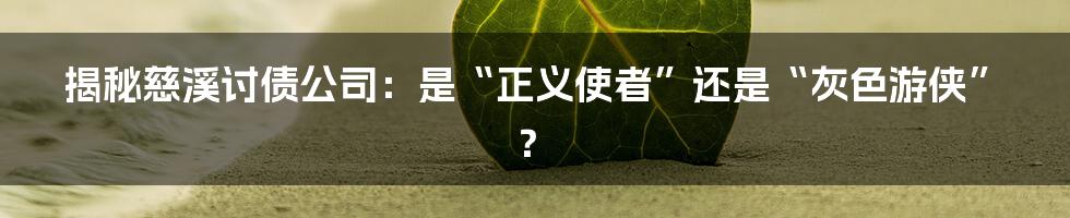 揭秘慈溪讨债公司：是“正义使者”还是“灰色游侠”？