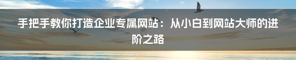 手把手教你打造企业专属网站：从小白到网站大师的进阶之路
