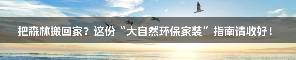 把森林搬回家?这份“大自然环保家装”指南请收好!