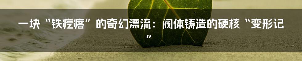 一块“铁疙瘩”的奇幻漂流：阀体铸造的硬核“变形记”
