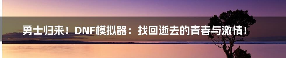 勇士归来！DNF模拟器：找回逝去的青春与激情！