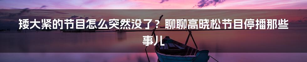 矮大紧的节目怎么突然没了？聊聊高晓松节目停播那些事儿