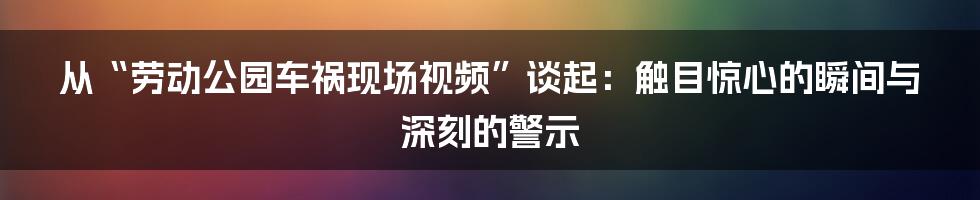 从“劳动公园车祸现场视频”谈起：触目惊心的瞬间与深刻的警示