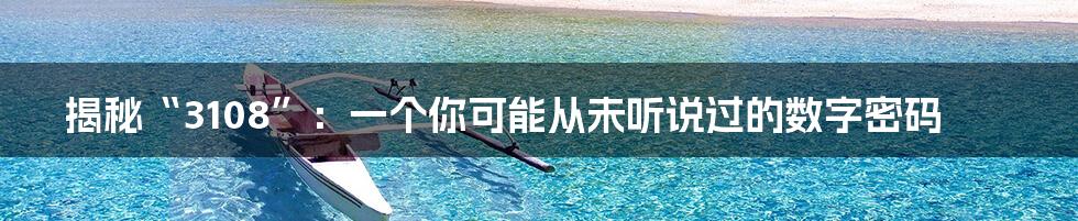 揭秘“3108”：一个你可能从未听说过的数字密码