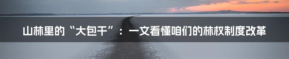 山林里的“大包干”:一文看懂咱们的林权制度改革