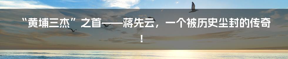 “黄埔三杰”之首——蒋先云，一个被历史尘封的传奇！