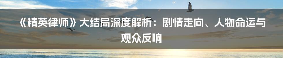 《精英律师》大结局深度解析：剧情走向、人物命运与观众反响