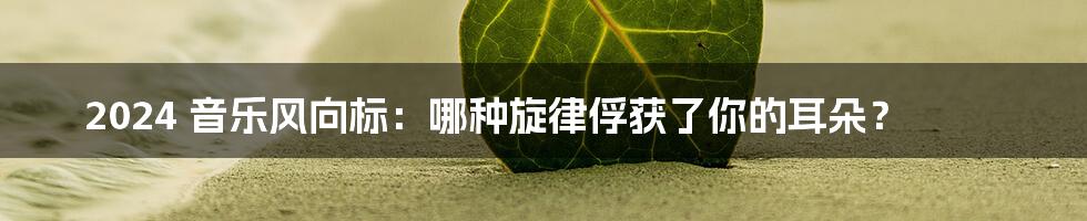 2024 音乐风向标：哪种旋律俘获了你的耳朵？
