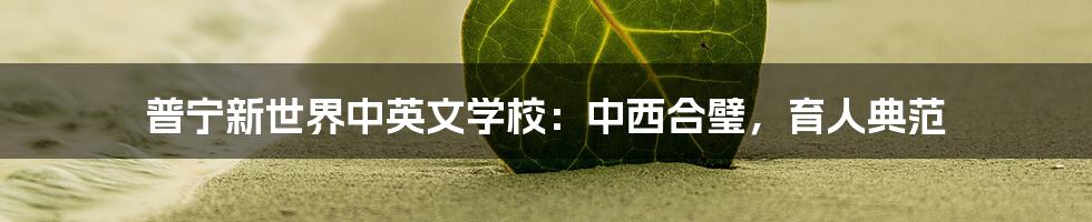 普宁新世界中英文学校：中西合璧，育人典范