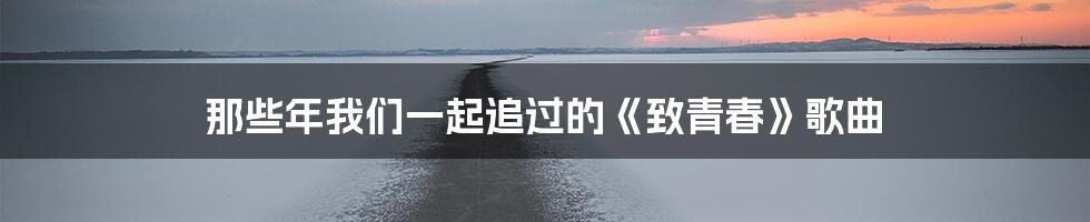 那些年我们一起追过的《致青春》歌曲