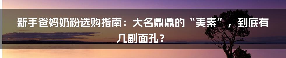 新手爸妈奶粉选购指南：大名鼎鼎的“美素”，到底有几副面孔？