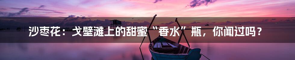 沙枣花：戈壁滩上的甜蜜“香水”瓶，你闻过吗？