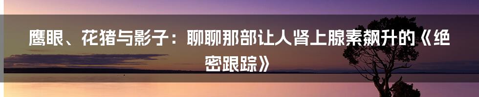 鹰眼、花猪与影子:聊聊那部让人肾上腺素飙升的《绝密跟踪》
